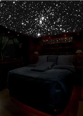 a bedroom with starry ceiling