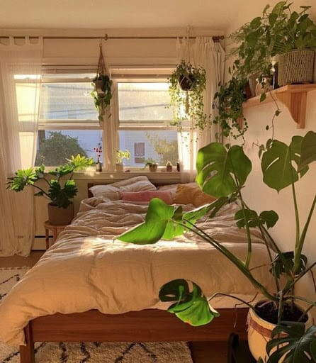 beige bedroom idea with plants