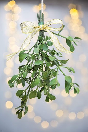 mistletoe for Christmas decor