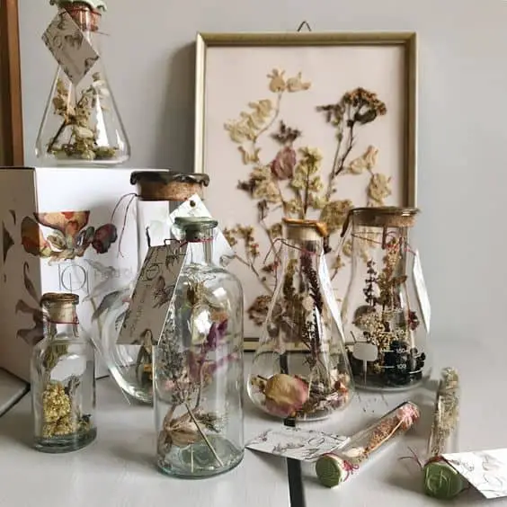 dried flowers for cottagecore design