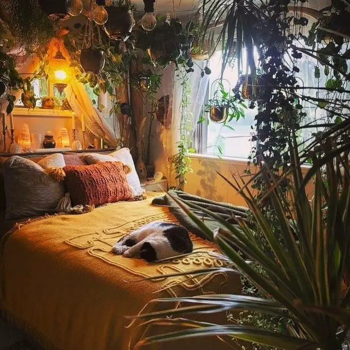 aesthetic bedroom decor with plants