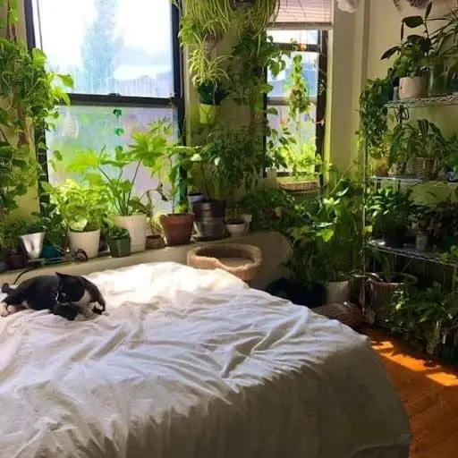 anime bedroom decor with plants