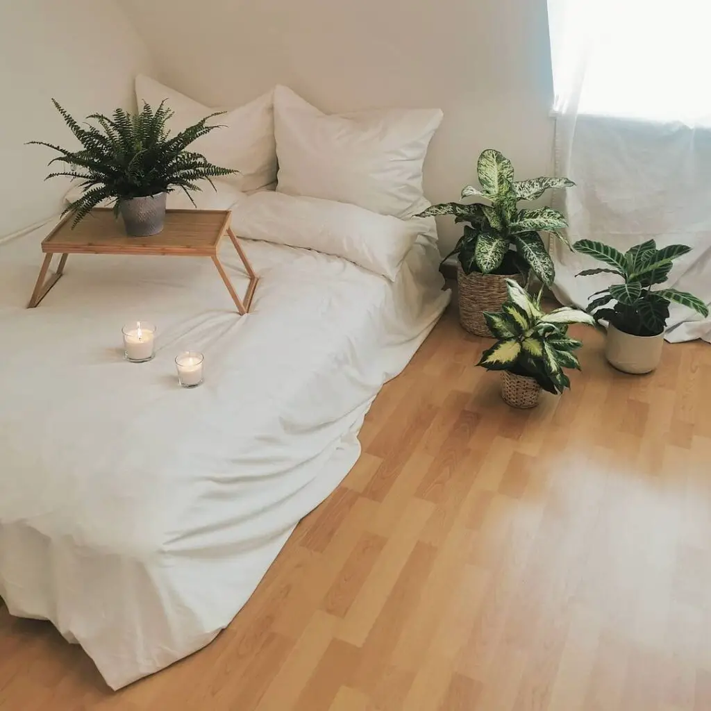 brown bedroom idea withy plants