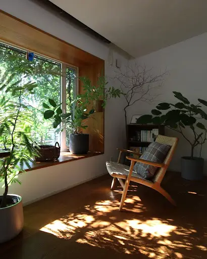 bedroom idea with plants