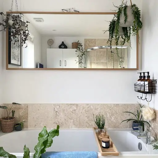 coastal bathroom decor with plants