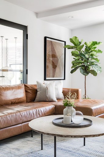 classy living room decor idea