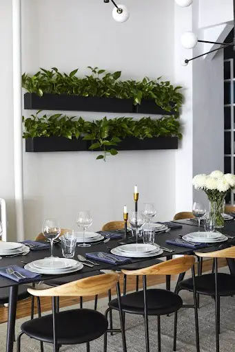 dining room wall decor with plants