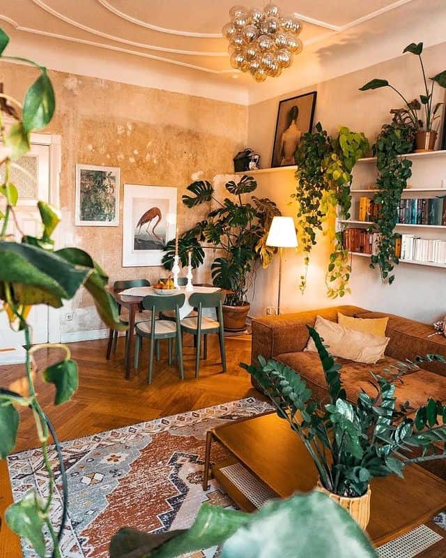 boho living room with plants