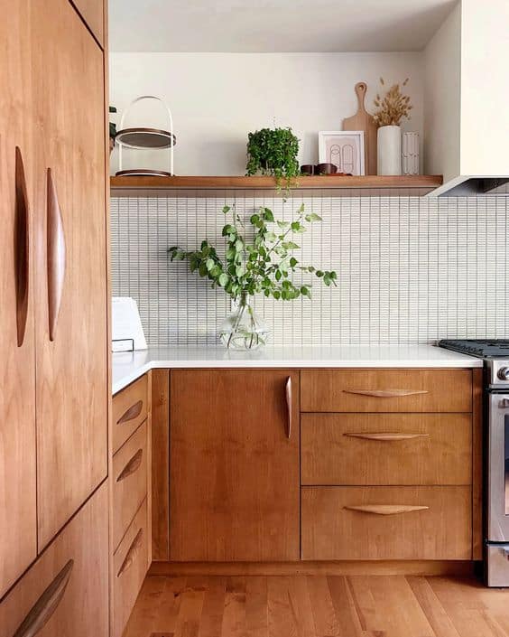 indoor plants in the kitchen