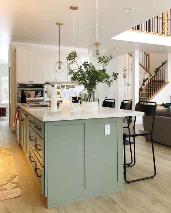 indoor plants in the kitchen