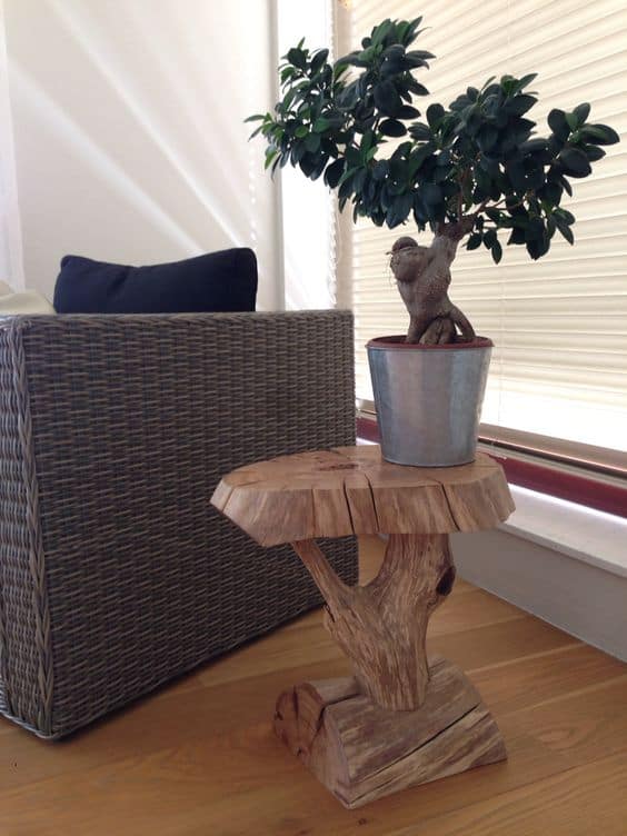 table decor with potted plant